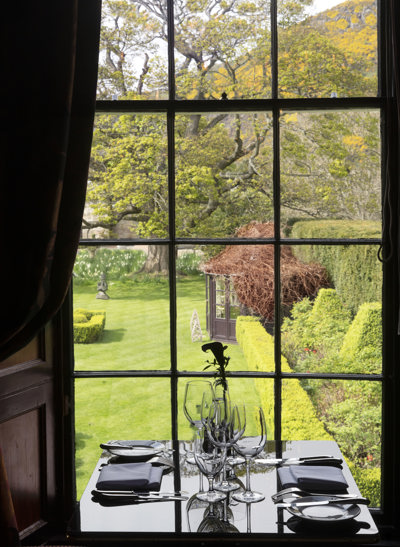 Rhubarb Garden view