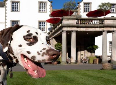 Prestonfield Dog Friendly