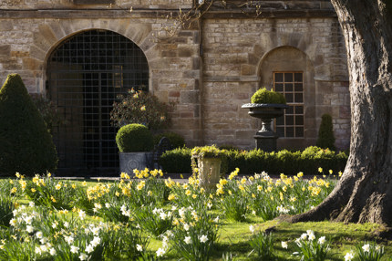 Spring is in the air