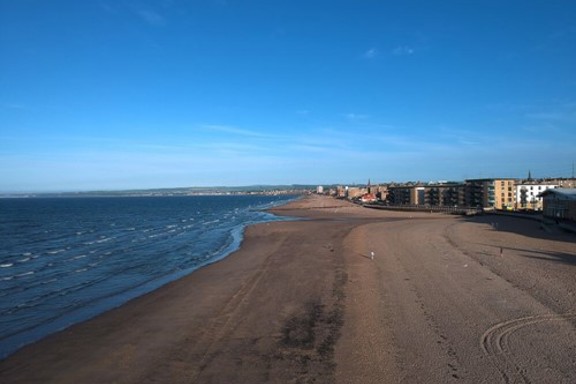 Portabello