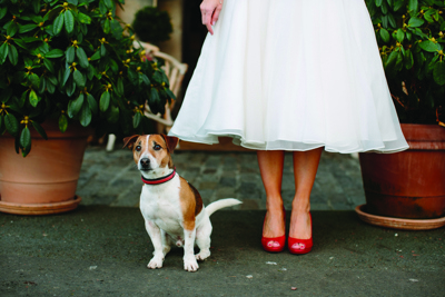 Prestonfield Bride and dog