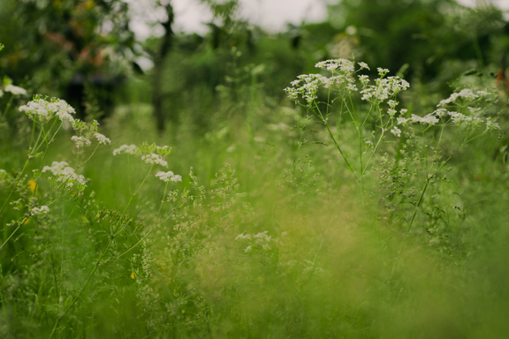 Wellness at Prestonfield House