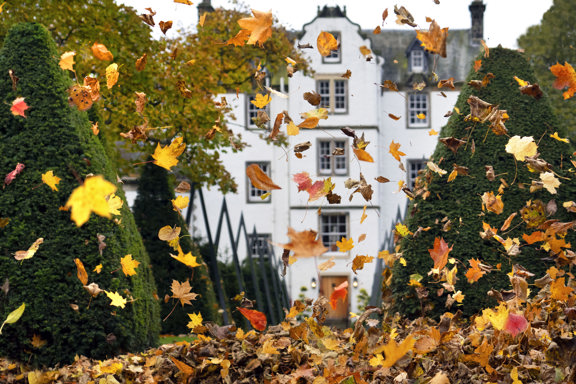 Autumn Leaves floating in the wind