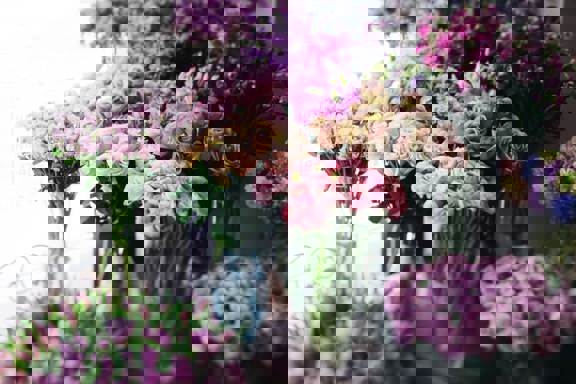 5E413b8a4218b Flowers 1