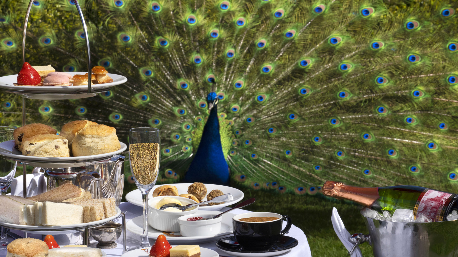 Afternoon Tea on the lawn