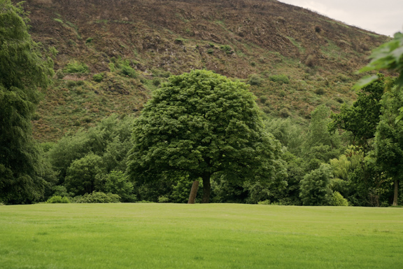 Woodland Walks at Prestonfield House