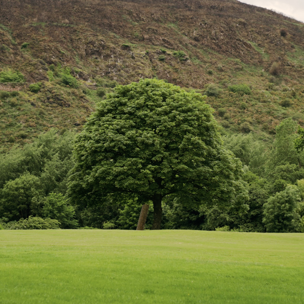Woodland Walks at Prestonfield House